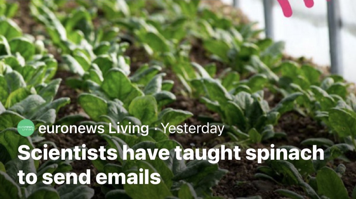 Yommi⁷🤴🏾 tweet media