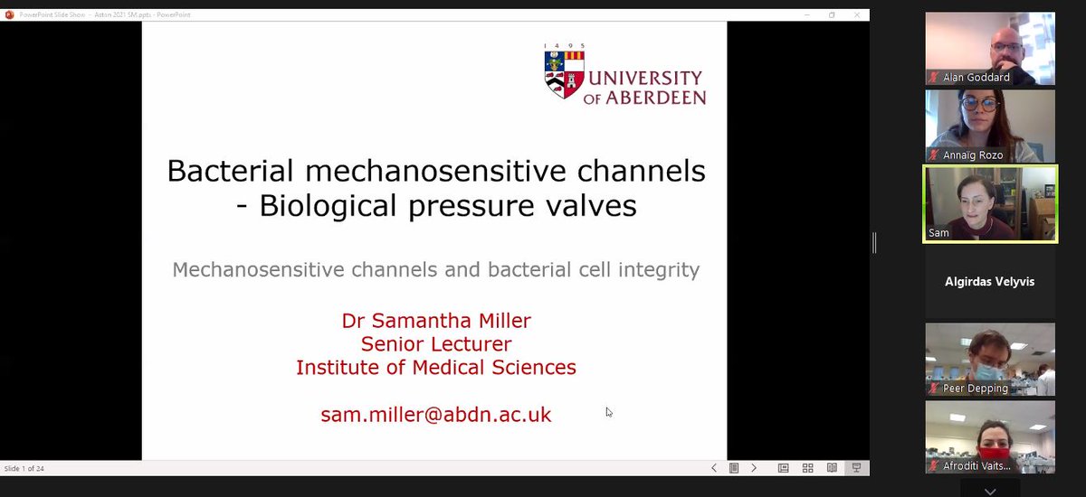 MemTrain tweet media