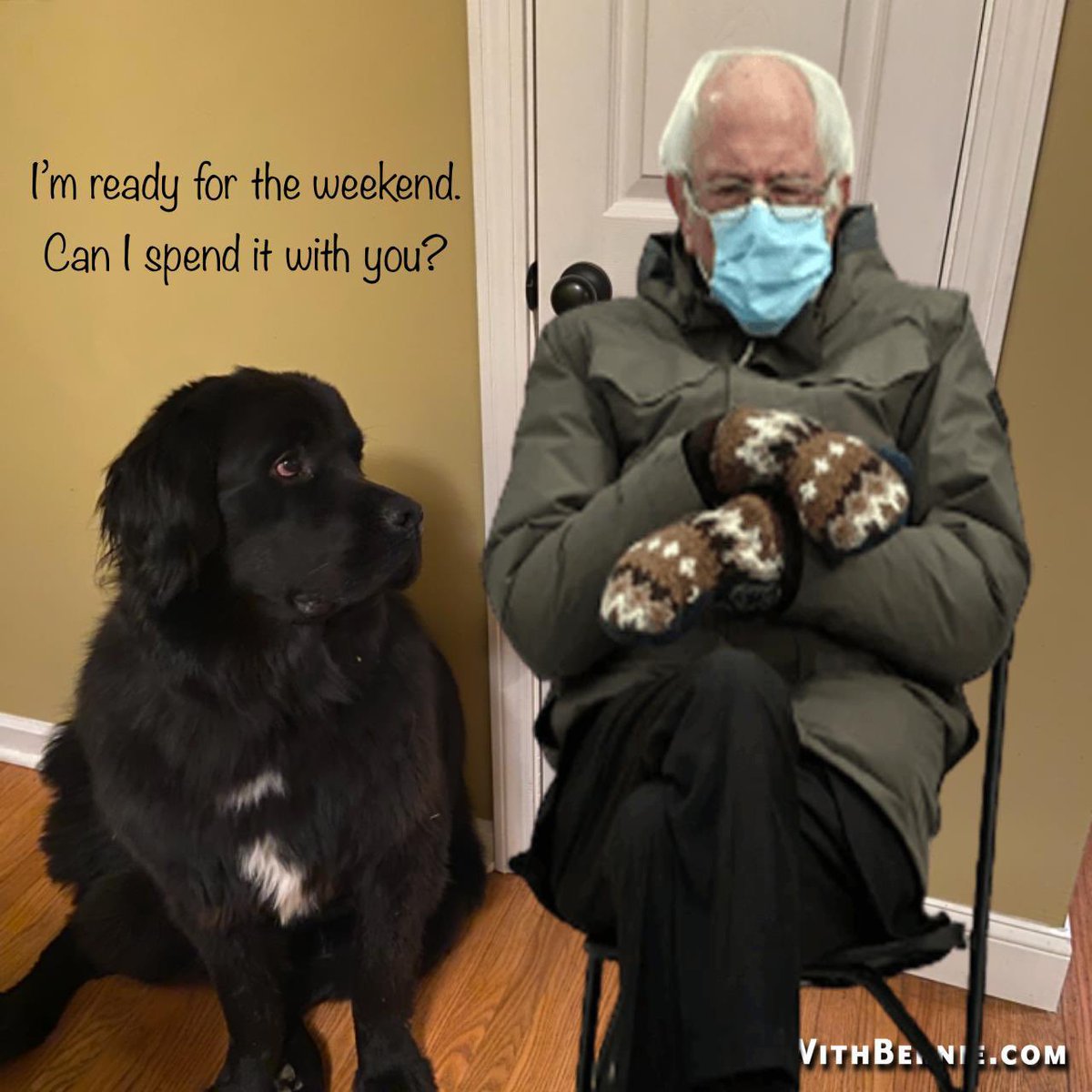gusthenewfound1's tweet photo. Iβm ready for the weekend. Can I spend it with you? #weekendatbernies #sitwithbernie #dogs #dogsoftwitter https://t.co/CugqdIewv2