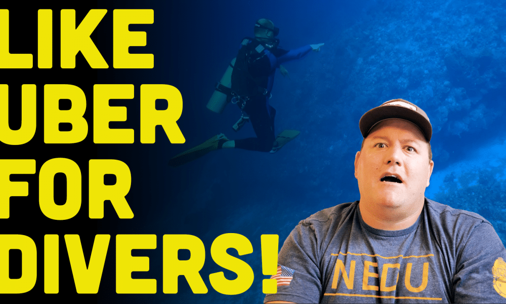 ScubaverseMedia's tweet photo. When should you hire a Private Dive Guide? (Watch Video)
@DiversReady discuss 6 scenarios in which you might consider upgrading your dive to the private level.
#scubadiving #video #blog #DiversReady #dive #guide #diving
https://t.co/iIiRUAD66z https://t.co/mbdVVJAxQy