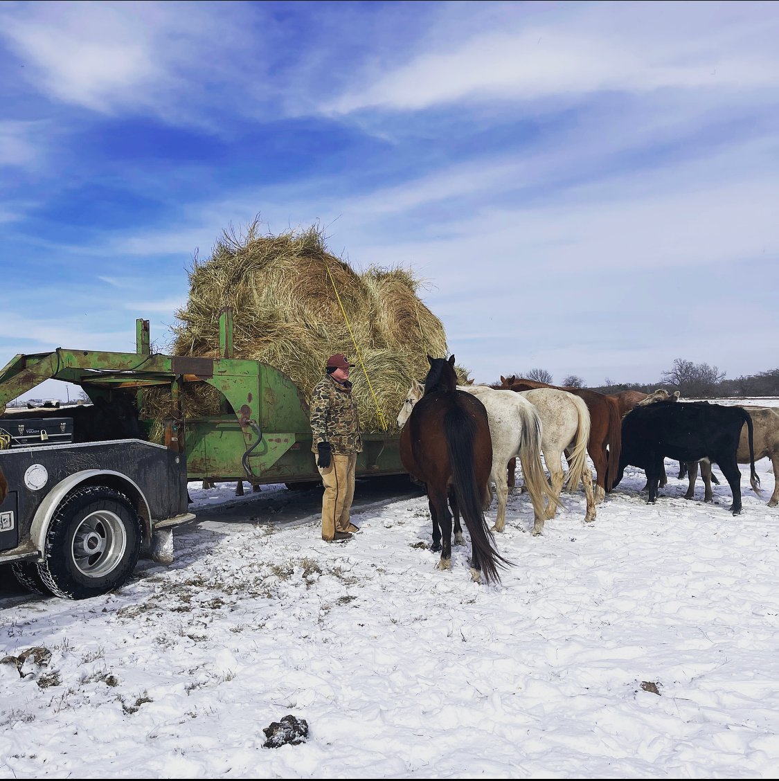 TexasDeptofAg's tweet photo. Commissioner Miller commends Texas farmers and ranchers for their dedication to Texas agriculture in these unprecedented times. Continue to pray for our industry folks as they face the devastating effects from the cold weather #TexasAgricultureMatters  #InThisTogether https://t.co/1zRfs8DGPo