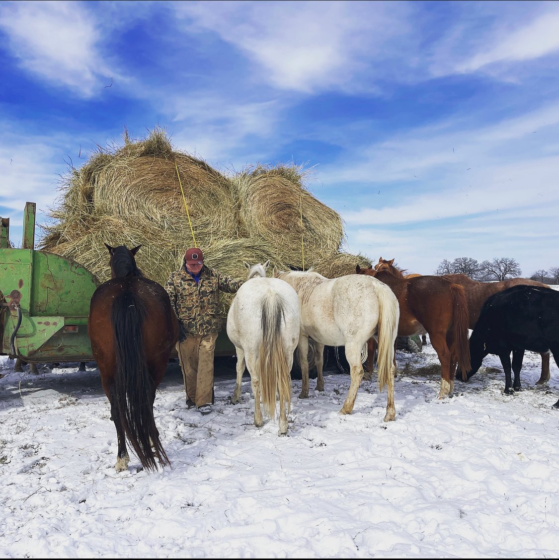 TexasDeptofAg's tweet photo. Commissioner Miller commends Texas farmers and ranchers for their dedication to Texas agriculture in these unprecedented times. Continue to pray for our industry folks as they face the devastating effects from the cold weather #TexasAgricultureMatters  #InThisTogether https://t.co/1zRfs8DGPo
