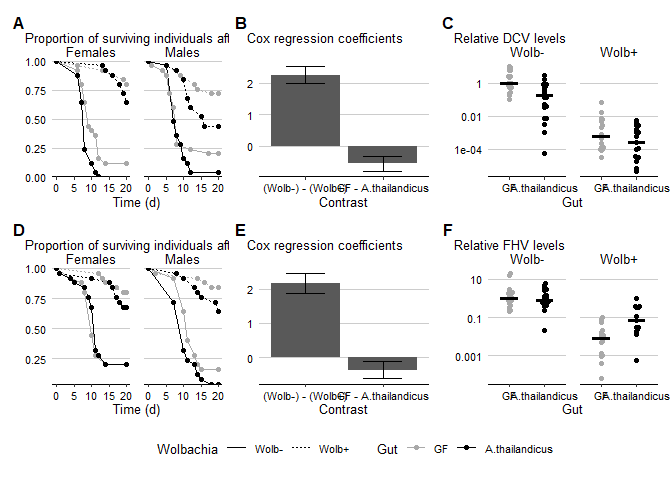 Luis Teixeira (@lmvteixeira) on Twitter photo New preprint from lab: Drosophila melanogaster gut microbiota influence on resistance and disease tolerance to viral infection through different routes and in the presence or absence of Wolbachia. By M. Landum, @marta_tita15, and <a href="/n_martins/">Nelson Martins</a> biorxiv.org/content/10.110… New preprint from lab: Drosophila melanogaster gut microbiota influence on resistance and disease tolerance to viral infection through different routes and in the presence or absence of Wolbachia. By M. Landum, @marta_tita15, and <a href="/n_martins/">Nelson Martins</a> biorxiv.org/content/10.110…