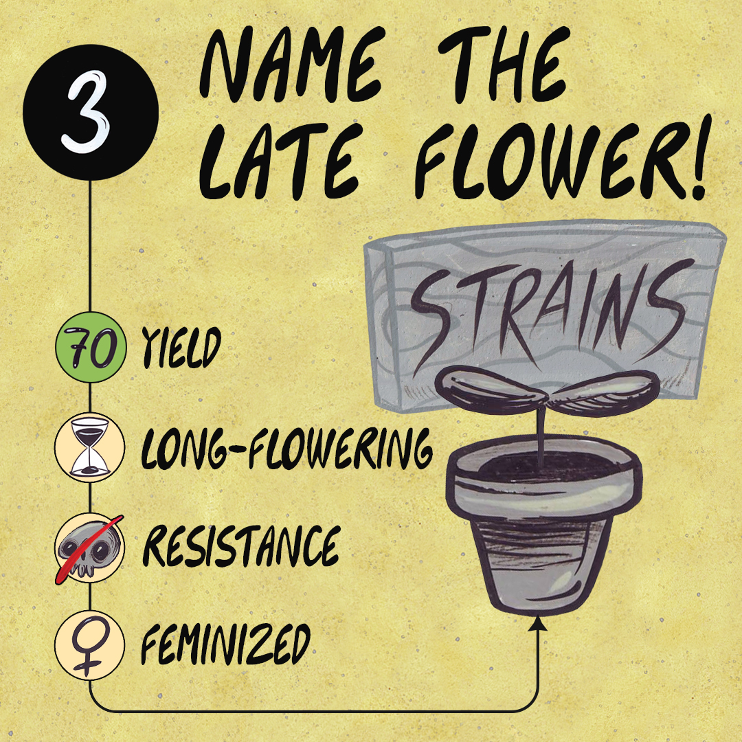 AutofarmerCards's tweet photo. Here comes a poll for the last plant unlocked in Strains expansion.
It is a long-flowering plant with a high yield and resistance to diseases.

Vote here: https://t.co/AimpocAO87 https://t.co/iqVv9kp4MB