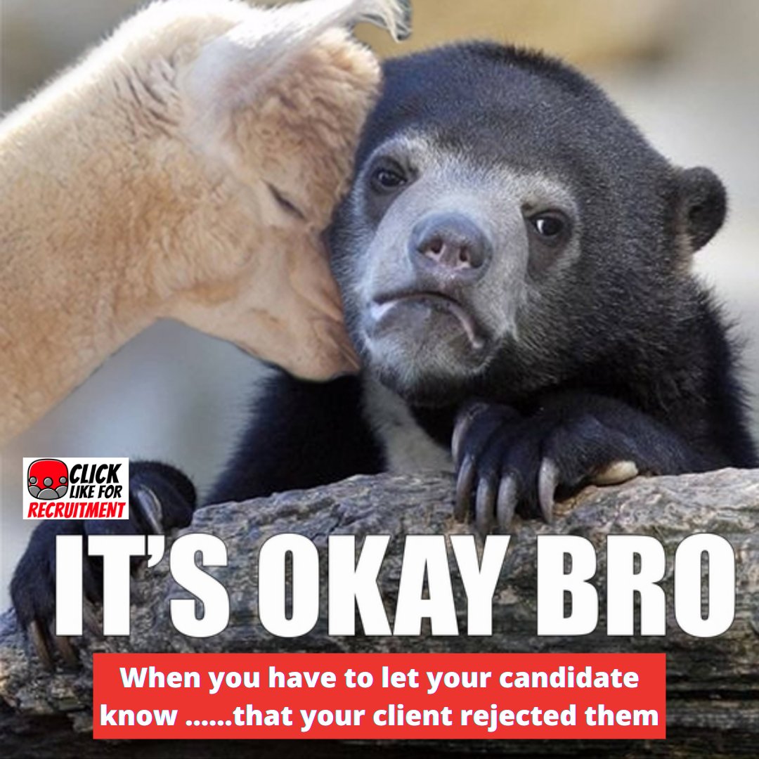 RecruitmentLike's tweet photo. 😥I'm afraid they have decided not to move forward with your application.
😞Such a sad time for you and for the candidate, but have you had this situation and then actually placed the candidate soon after, now that is a feeling or euphoria right? 🥰
#candidaterejection https://t.co/7CLMdqcU3q