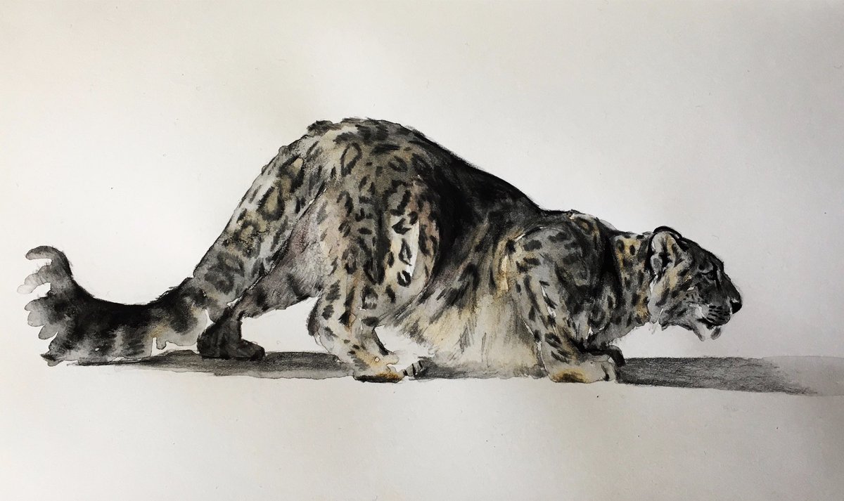 kvannelli89's tweet photo. Hey #AnimalArtistsUnite! I’m Kate and I mostly create watercolor wild cats https://t.co/E0UULp9NoT