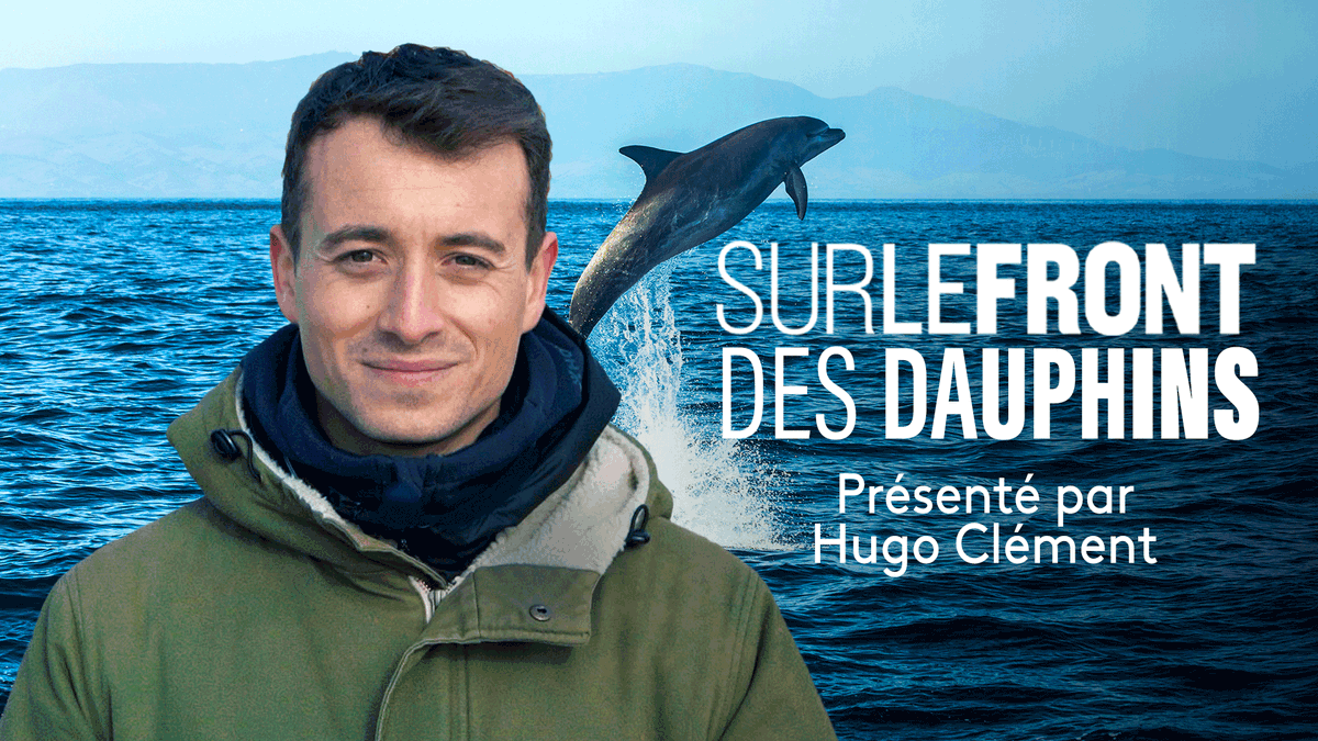 FranceTVNature's tweet photo. Ils sont Français, Américains, Hollandais… Avec @hugoclement, ils montent au front pour sauver les dauphins en danger, un combat souvent  risqué...

#SurLeFront à 20.50 sur @France5tv et disponible sur https://t.co/C1lD0E7X2j 👉https://t.co/PLNiaJtfKX https://t.co/Q4yCyexcf4