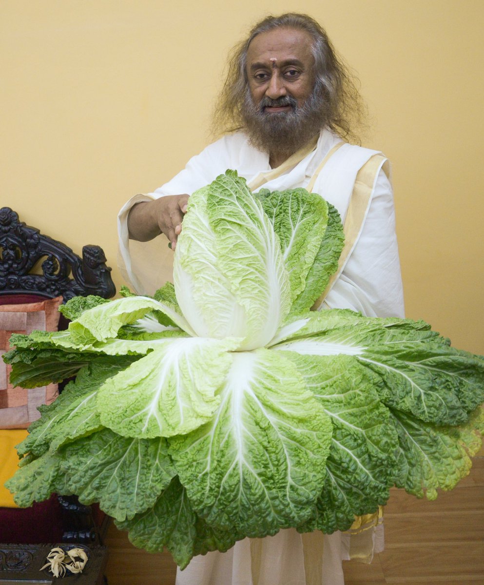 Gurudev Sri Sri Ravi Shankar tweet media