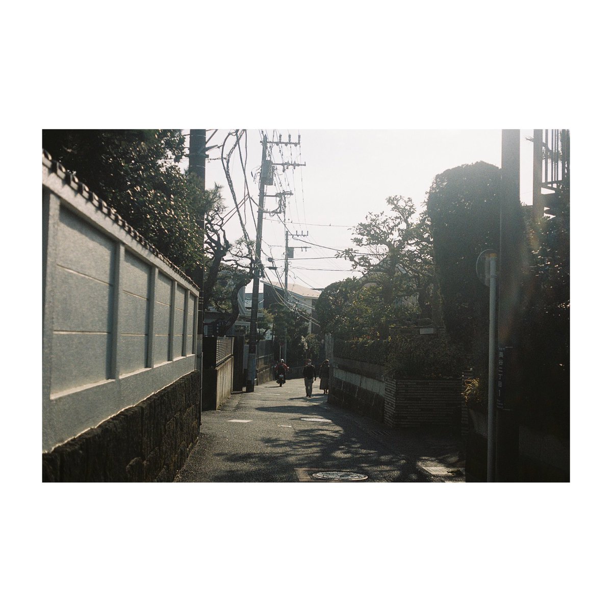Rinco Koyama / 写真家兼占い師 tweet media