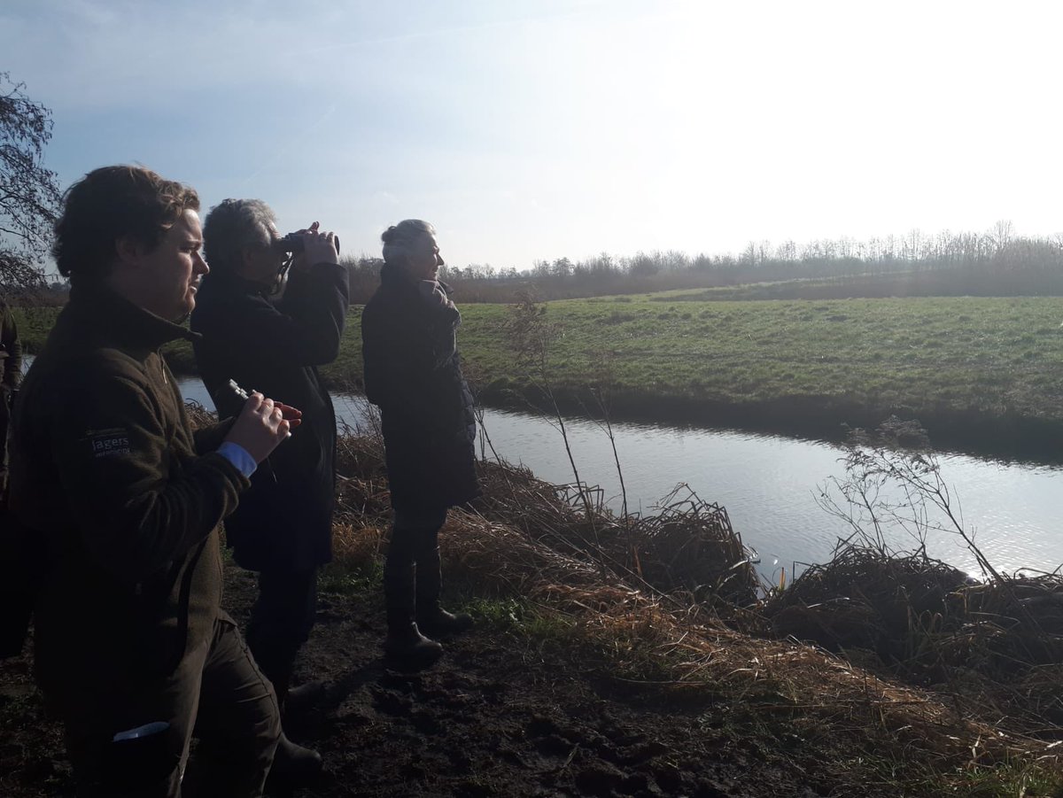 Roelof Bisschop tweet media