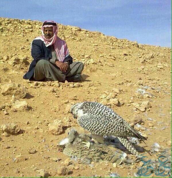 JAlArb's tweet photo. #داعش المتقدمة في نجد قتلت شيخ #عنزة جديع بن منديل الهذال وشيخ #شمر مسلط الجربا؛ بزعم أنهما "مرتدان"، وداعش المتأخرة في العراق والشام قتلت شيخ عنزة أورنس بن متعب الهذال، وشيخ شمّر حاكم الجربا بزعم أنهما "مرتدّان"! أي عنزي وشمري يمدح الخوارج سواءً في نجد أو خارجها، فهو خائن ومجرم. https://t.co/Exb42Dks22