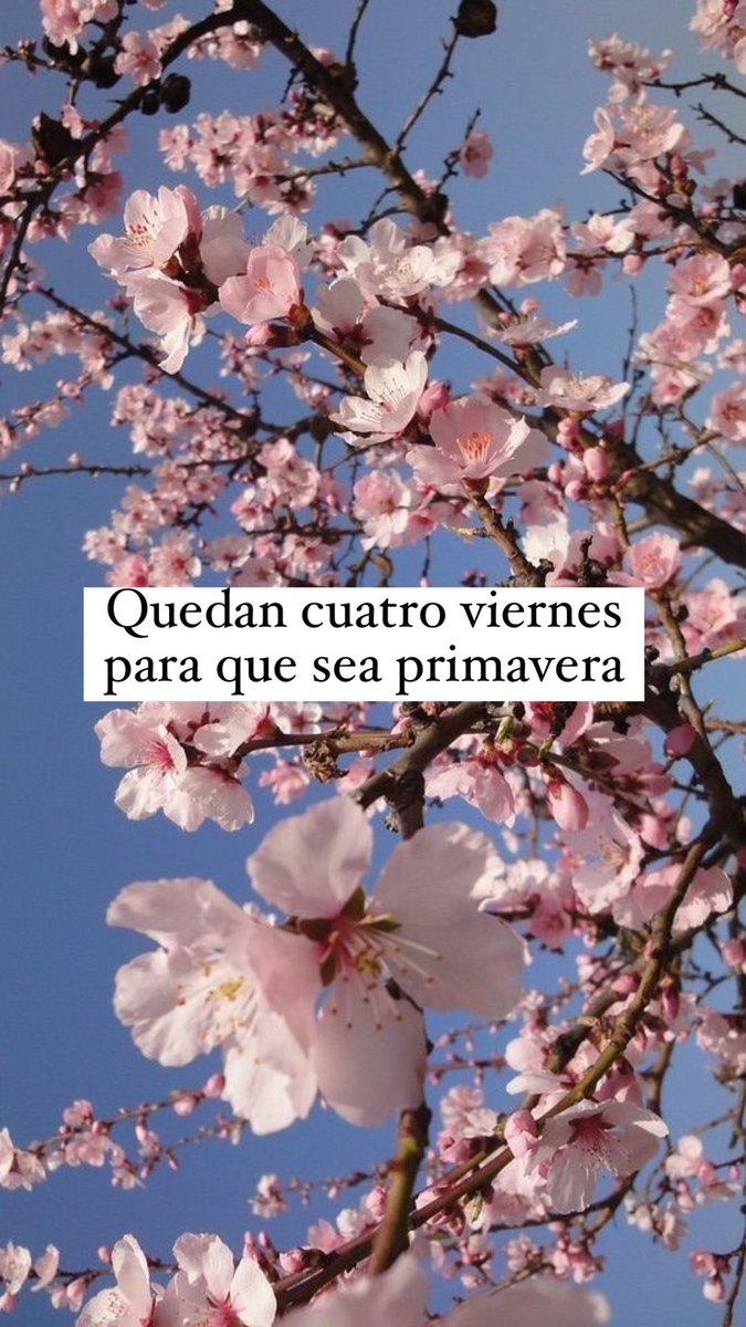 La Vecina Rubia (@lavecinarubia) on Twitter photo 