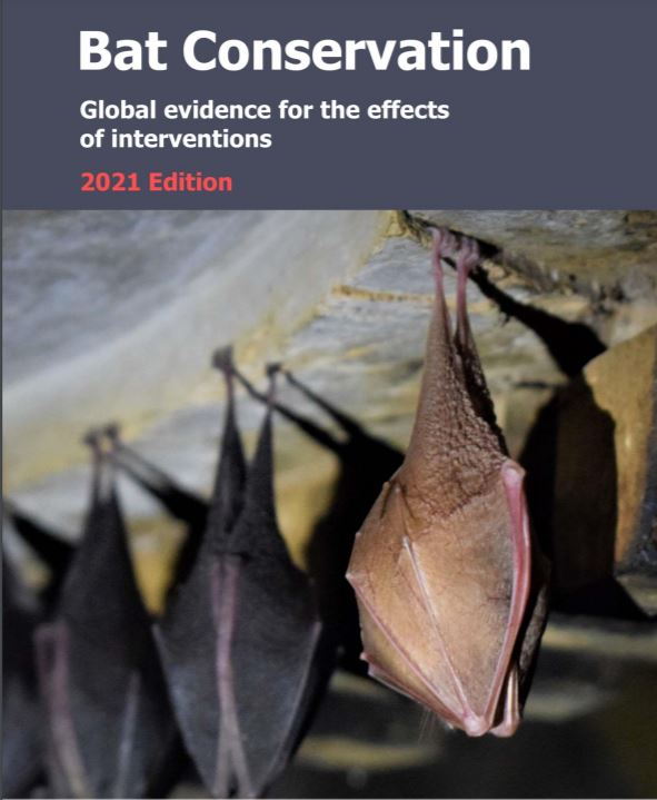 ConservEvidence's tweet photo. It's been a busy week here at Conservation Evidence and we're ending with more exciting news- the update of the Bat Synopsis is now online!

Read the 200 actions you can take to conserve bats here: https://t.co/ZJ9xJSAlyG
or download the PDF for free here: https://t.co/FYTTGl0PWM https://t.co/2Gy5AVi8MF