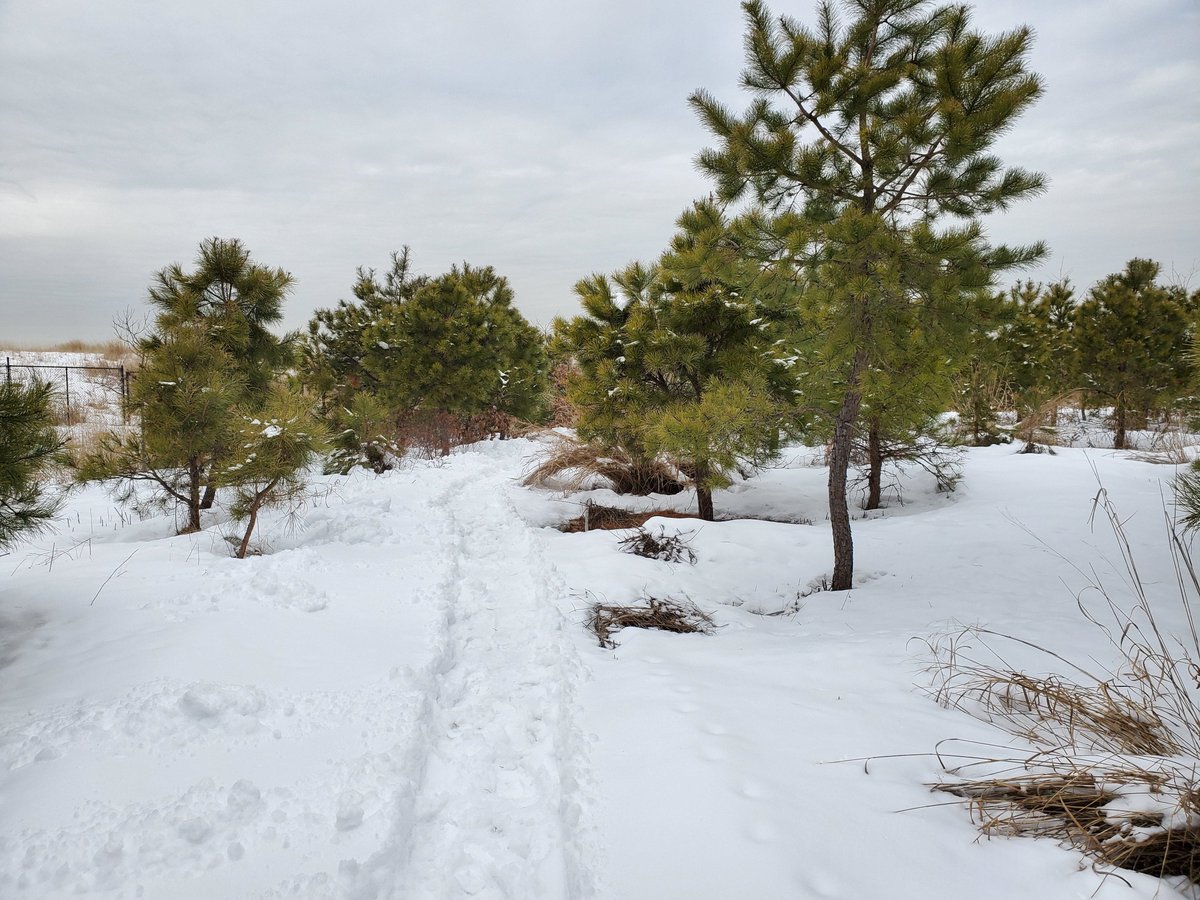 NYC Parks tweet media