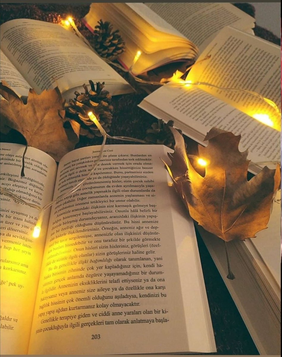 Kitap okumanın ve kitap satın almanın iki ayrı hobi olduguna inanıyorum. 🙄