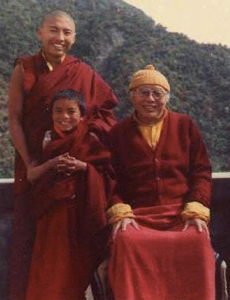 request to #tibetanbuhhdism experts - the various "lineages" eg " Tulku Urgyen’s family line was the main holder of the Barom Kagyu lineage" suggests that there's a kind of aristocracy - reincarnates stay in the family? tho   BH monks r celibate? how's this work? help please. tnx