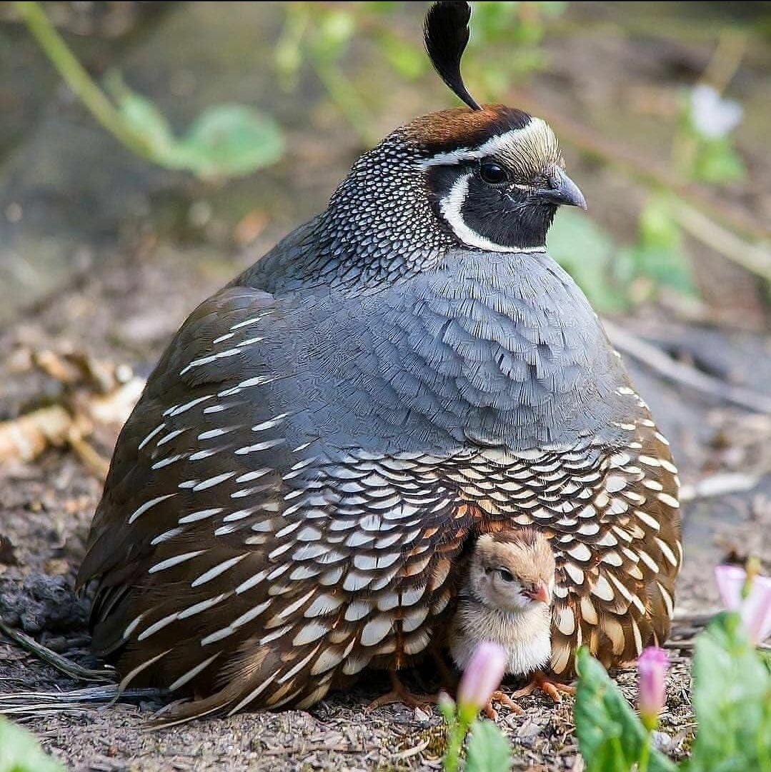 brad_murrell's tweet photo. @outdoorlos Plus I mean https://t.co/izj01C4RuM