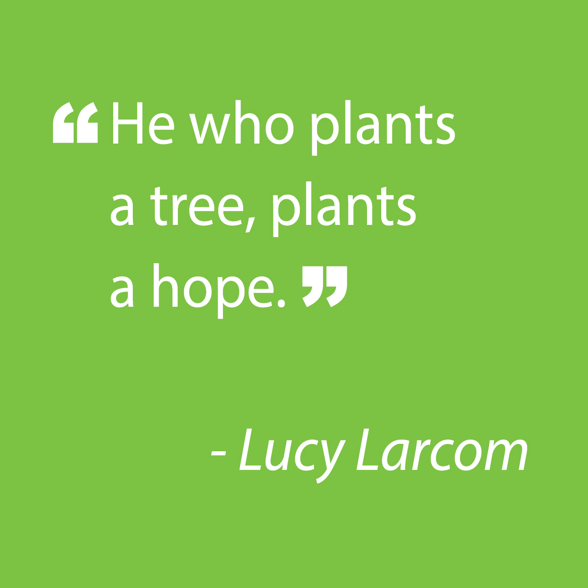 Our Plant Health Care division focuses on tree preventive health measures such as pest and disease solutions, soil testing and tree planting.
<a href="/samhilltreecare/">Sam Hill Tree Care</a> #treecare #dallastree #gardening #landscape #dallaslandscape #fertilizing