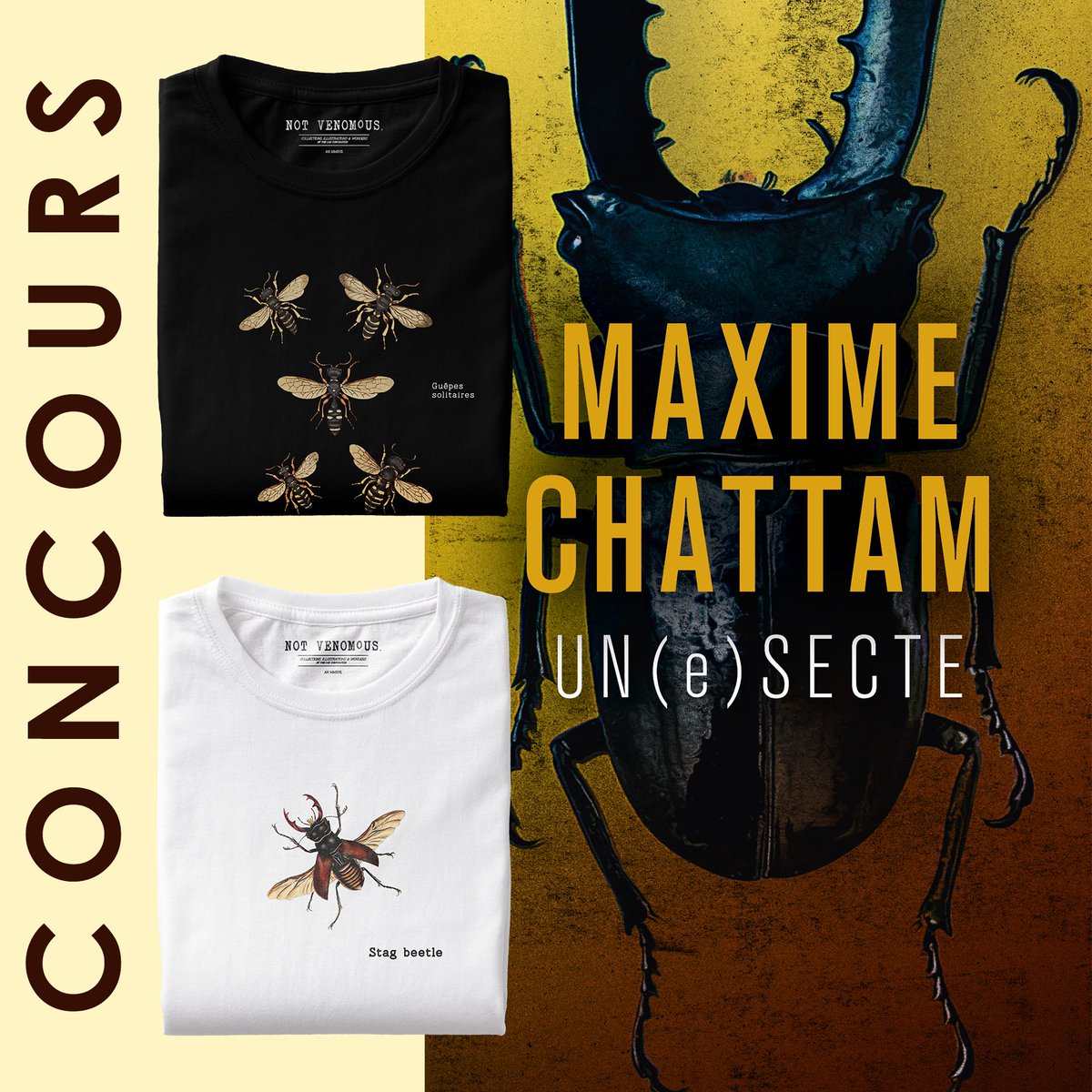 Pocket_Editions's tweet photo. Madame Pocket est ravie de vous proposer un #concours exceptionnel avec la marque #NotVenomous, pour célébrer la sortie en poche de "Une(e)secte", de @ChattamMaxime ! 📚🕷

Pour gagner le livre + 1 t-shirt Not Venomous au choix :
👉 Follow @Pocket_Editions
👉 RT 
Bonne chance 🍀 https://t.co/IBYa4JEgHd