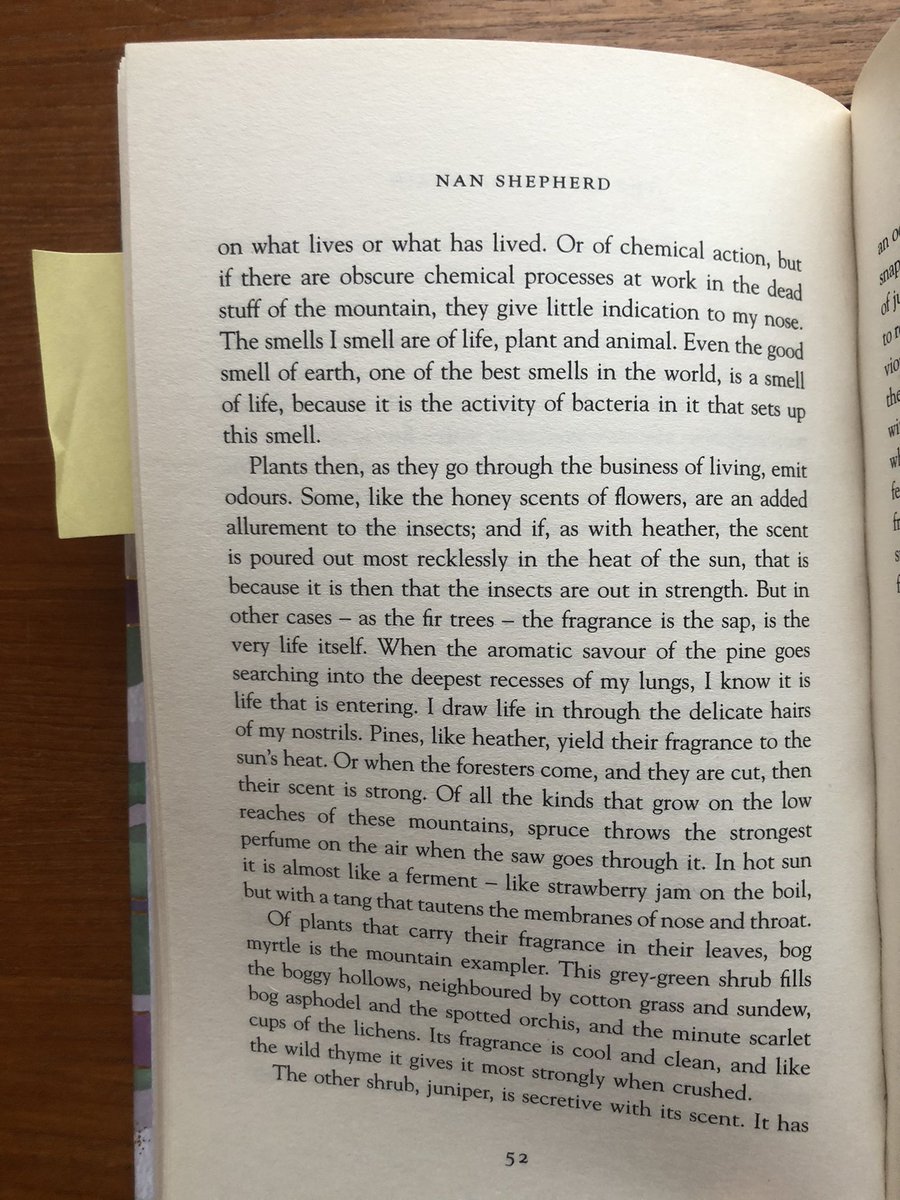 @BF_Armstrong @CecileVarry Not entirely ON smell but there are several great mentions of mountain olfactory in The Living Mountain by Nan Shepherd.