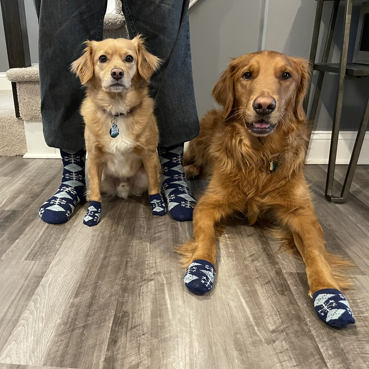 Bud, Sven, and I are rocking our matching funky socks for #IHXFunkyFriday! #NotoriousNortheast #IHX #LifeAtATT #ATTEmployee @IHXNortheast