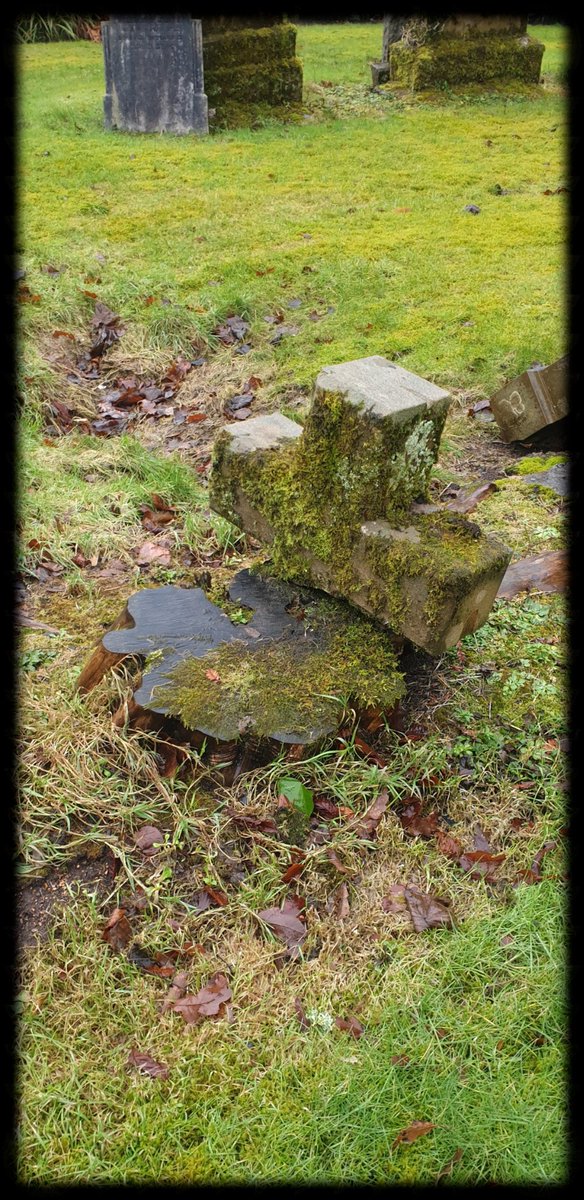 TheCemetress's tweet photo. Today's Trees and little Stump
🌲⚰✌🏽🖤
#CemeteryTree 
#MyFavePlace 
#Treemmunity 
#TreeHeroes 
#IHuggedATreeAtMidnight 
#ThenHeKissedMe https://t.co/WPlw64CkpB
