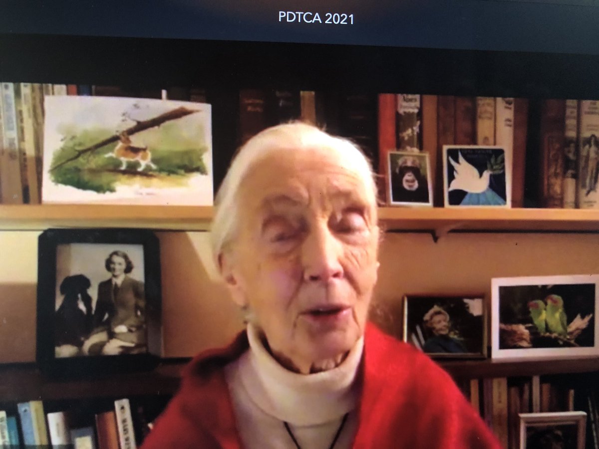 sdwigmore's tweet photo. A love for books which sparked a passion... @JaneGoodallCAN ❤️
#pdtc21 #myownpdtc https://t.co/h5ev2kX4C0