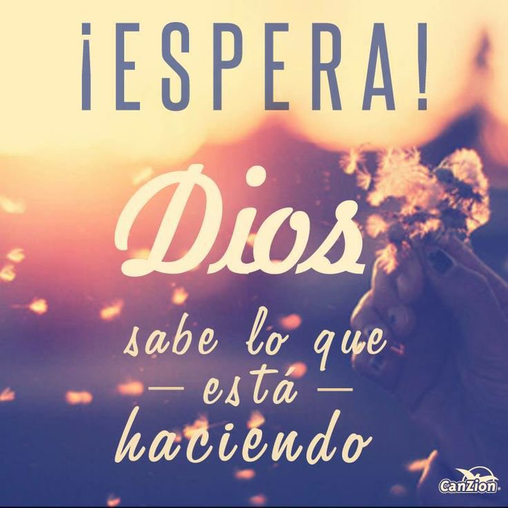 chicabostera1's tweet photo. Salmos 116:15-17; @mikerocker67 @neria_ramos Estimada es a los ojos de Jehová, la muerte de sus santos. Oh Jehová, yo soy tu siervo, siervo tuyo soy, hijo de tu sierva, Tú has roto mis prisiones. Te ofreceré sacrificios de alabanza, e invocaré el nombre de Jehová Aleluya Amén📖✝️ https://t.co/slHESAeO27