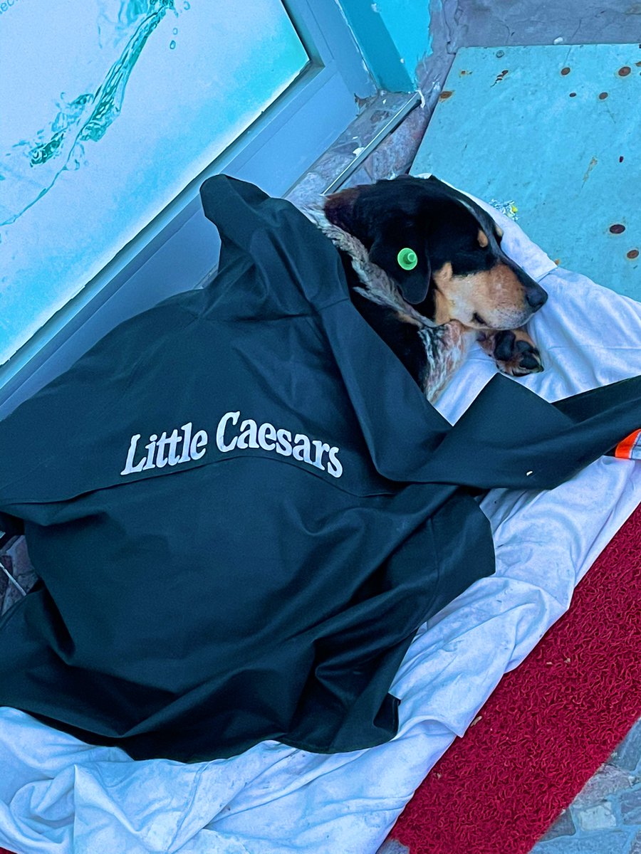 Begüm Ergül tweet media