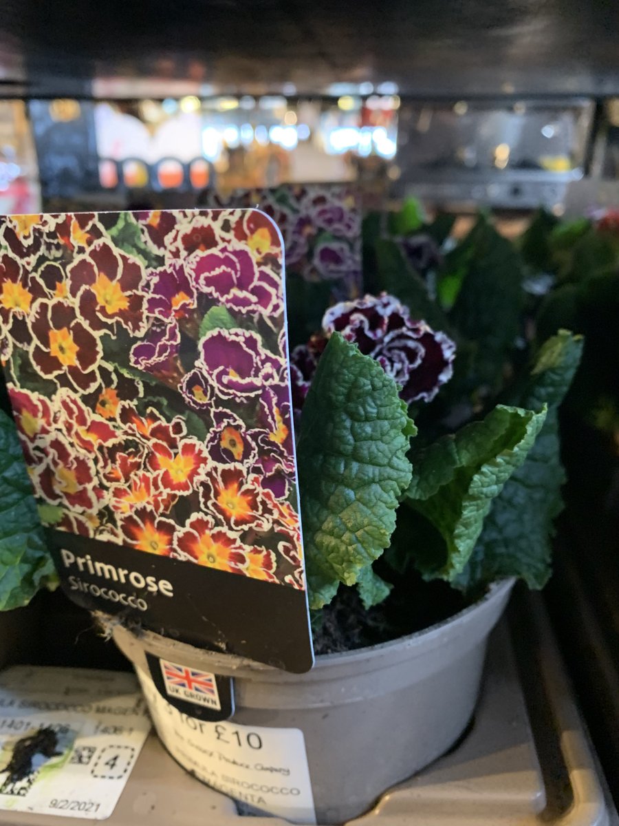 Sussex Produce Co. (@sussexproduce) on Twitter photo 