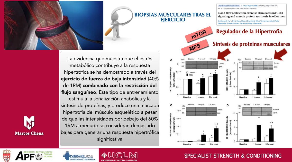MarcosChenaSin's tweet photo. Hoy tocó reflexionar sobre los métodos del entrenamiento de la fuerza en el Curso de Especialista en Entrenamiento en Fuerza de @APFfutbolpf @NSCASpain @uclm_es La fuerza se sustenta sobre la combinación de factores morfológicos y neurales y cada deportista tiene unas necesidades https://t.co/Yd39nUyqwQ