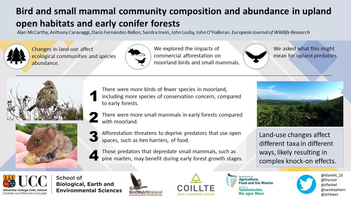 Our new paper led by <a href="/AlanMc_23/">Alan McCarthy</a> in <a href="/ejwr_cm/">European Journal of Wildlife Research (EJWR)</a>:

Upland afforestation affects bird &amp; small mammal composition with potential consequences for #conservation of #henharrier &amp; other upland specialists.

Work done <a href="/uccBEES/">Biological, Earth & Environmental Sciences, UCC</a> <a href="/BirdWatchIE/">BirdWatch Ireland</a> <a href="/mkoresearch/">MKO Research</a> <a href="/USWNatHistory/">USW Natural History</a>
link.springer.com/article/10.100…