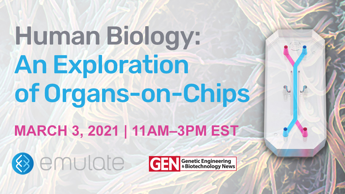 Join us as we hear from the world’s leading experts on the future of organs-on-chips.

Attend our free, virtual event for a deep exploration of how #organchips can impact your work in #drugdiscovery.
 
Sign up now at webinars.liebertpub.com/e/HumanBiology…
<a href="/GENbio/">Genetic Engineering & Biotechnology News</a>