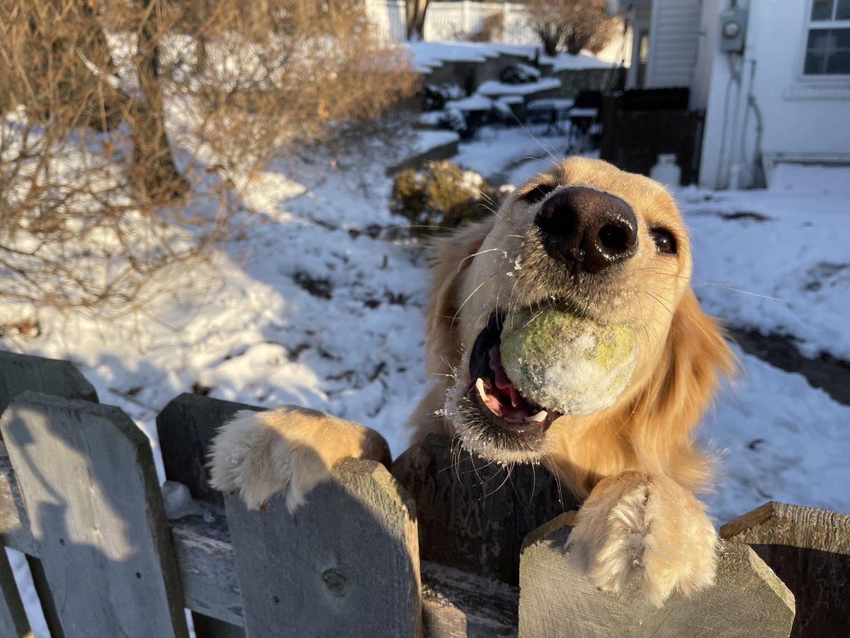 What are YOU grateful for today?