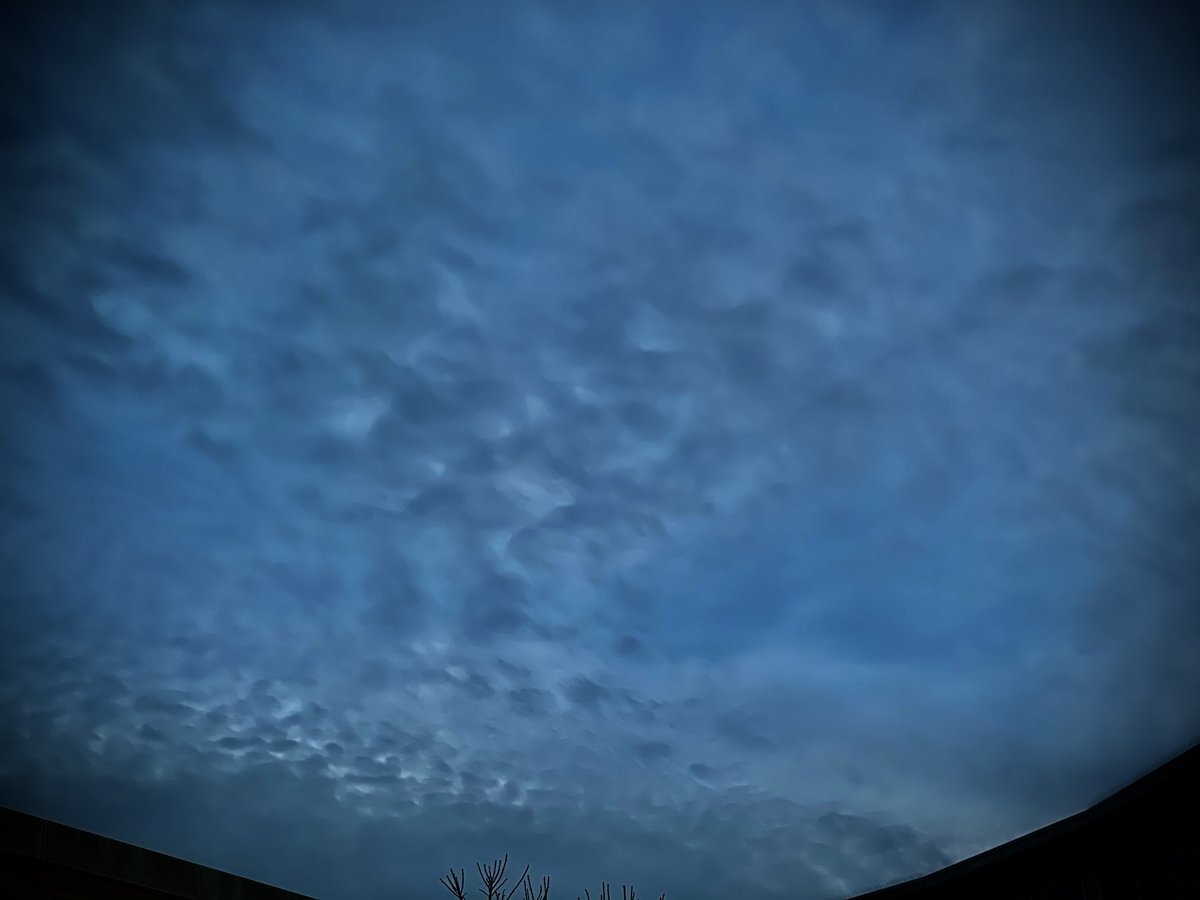 FredvanderKloor's tweet photo. #sheepclouds #warm wheater on the way. #naturephotography #netherlands https://t.co/ZawKpTNHrc
