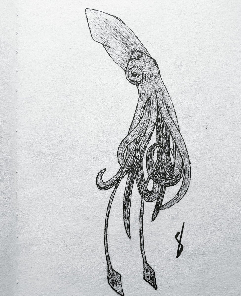 Staffman222's tweet photo. Squidy boi 
#draw #drawings #art #artistsontwitter #Twitter #aminal #stilllife #realism #blackandwhite #handmade https://t.co/0rs06EfYw6