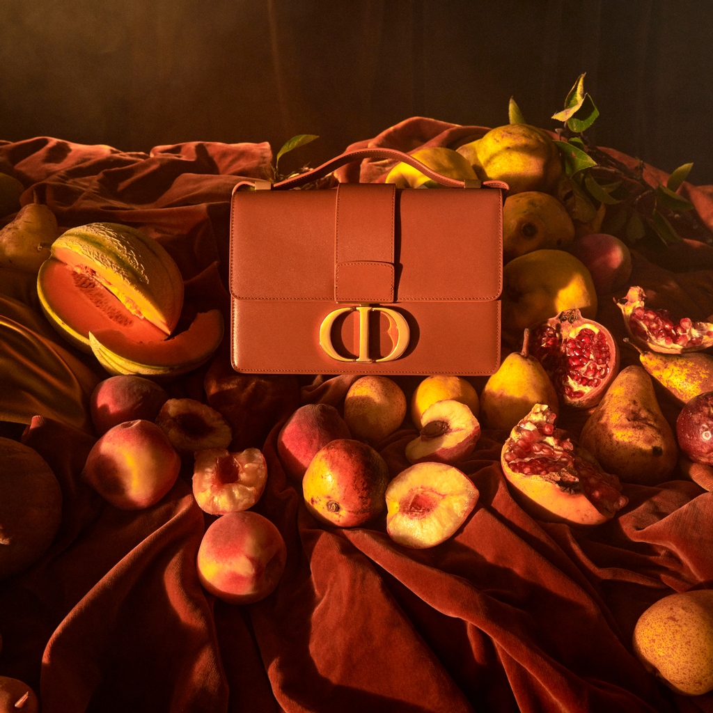 With signature 'CD' initials in common, the refined leather #DiorBobby and #Dior30Montaigne bags continue to pursue their distinct identities as modern shoulder bags for #DiorSS21 on.dior.com/ss21 by Maria Grazia Chiuri, in the campaign shot by Elina Kechicheva.
