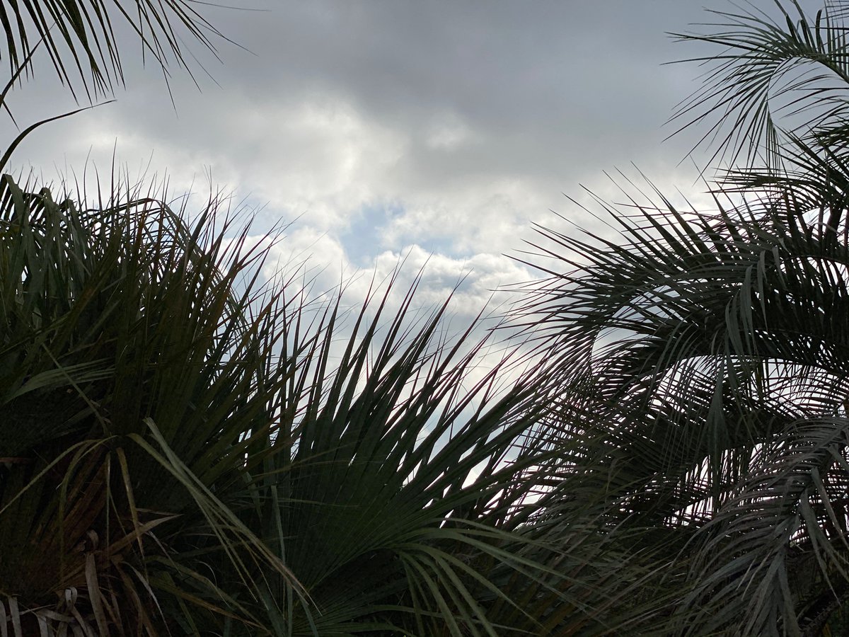 debbiwtaylor's tweet photo. The sun desperately wants to come out today!! 🌞#PartlySunny https://t.co/PpoWsQdRvG