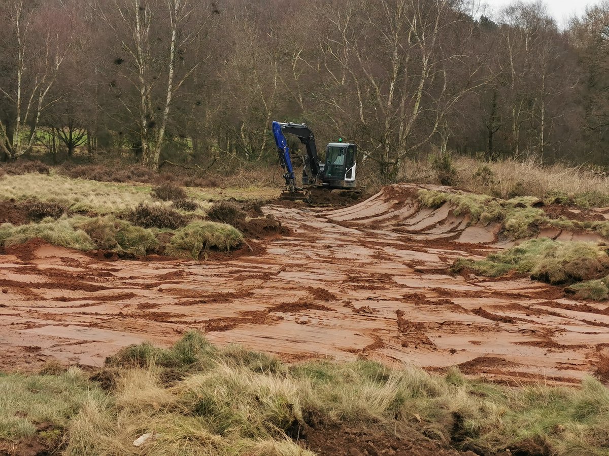 Finally, some better weather @nottsgolfclub. Greens cut, and first application of lawnsand on. Fairways strong, recent bunker renovation completed and sand waste area progressing well #hollinwell