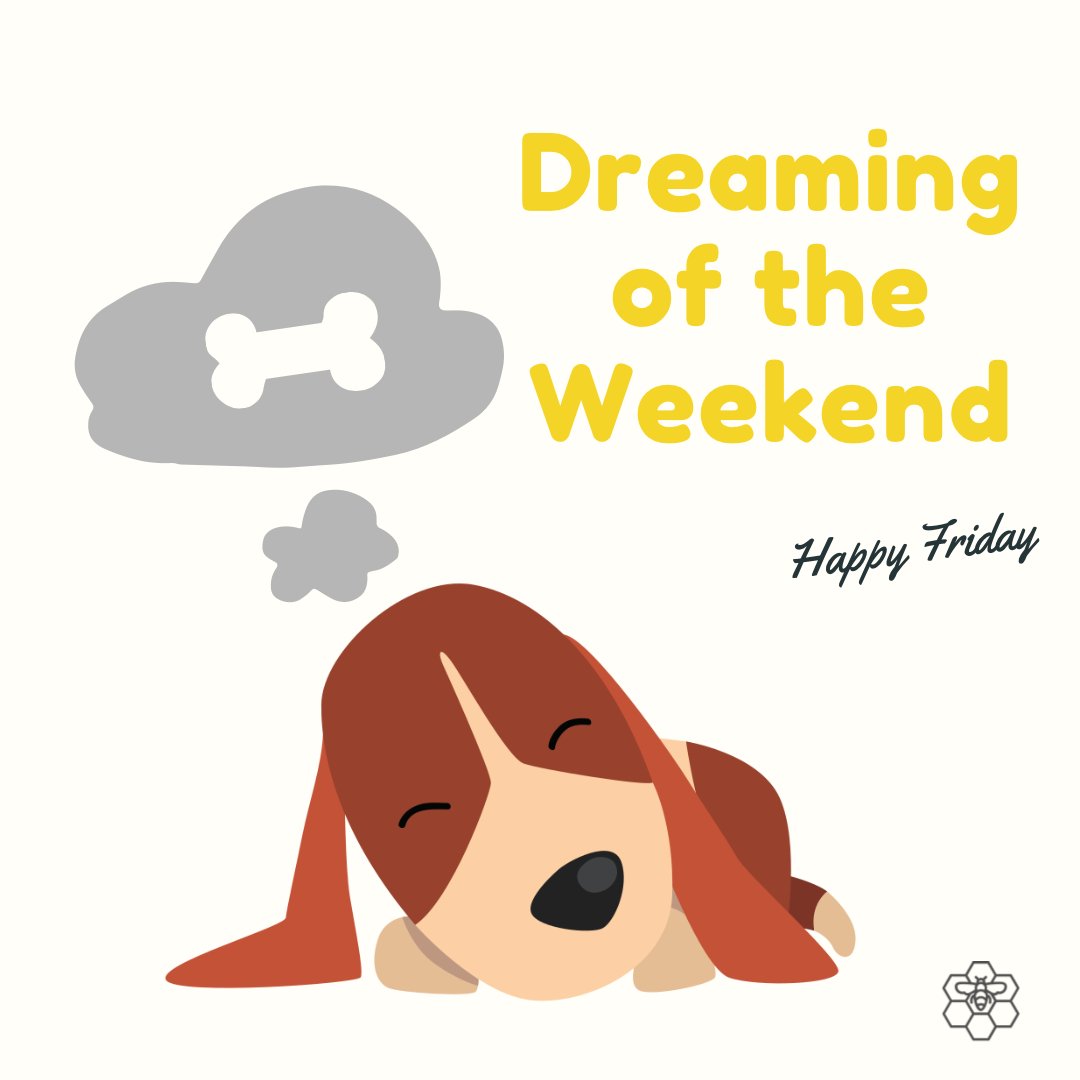We’re dreaming of the #weekend and we have to admit we’re celebrating #loveyourpetday a day early #pets #caturday came early #love #bestworkbuddies #workfromhomelife