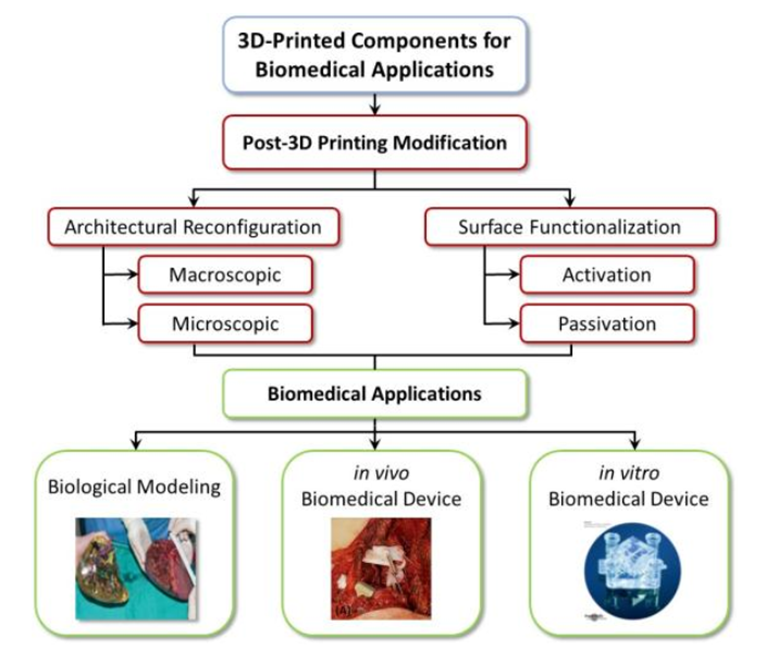 IJB_ASP's tweet photo. The post-3D printing modification is the solution that could close the gap between #3Dprinting technology and desired #biomedical functions. Learn more about the potential techniques for post-3D printing modification to achieve desired #biofunctionality: https://t.co/C2CAhUTd5V https://t.co/MCWP3mAkug