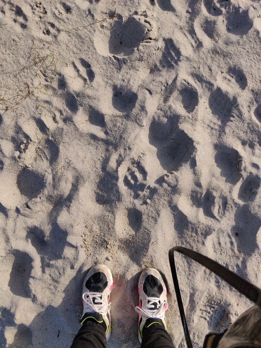 Les pieds dans le sable ♥️ #Bretagne