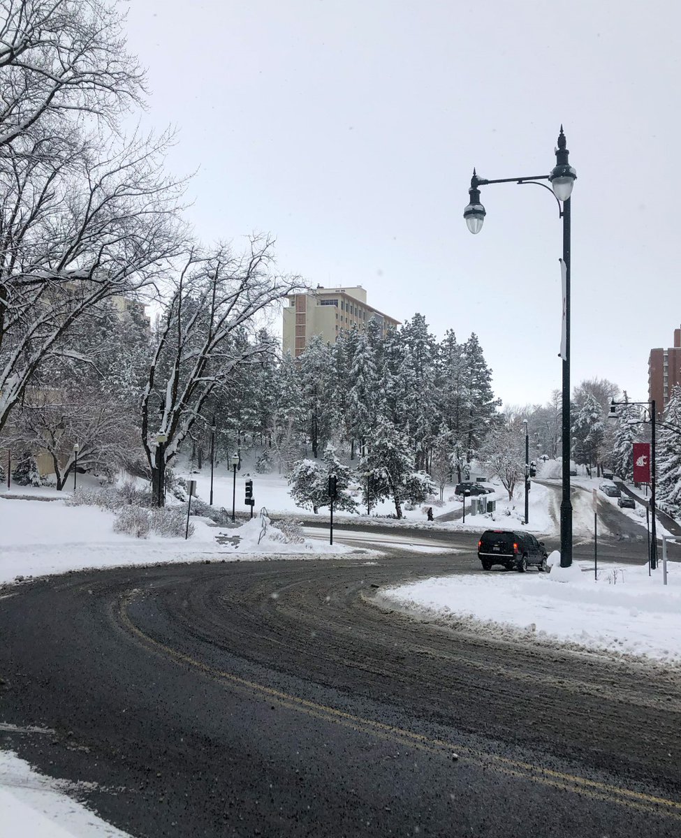 We want to make sure you can commute in any weather. Check our website for more information on Pullman Transit, Wheatland Express, Vanpool, Zipcar and much more! #WSUTransportation #WSU #GoCougs