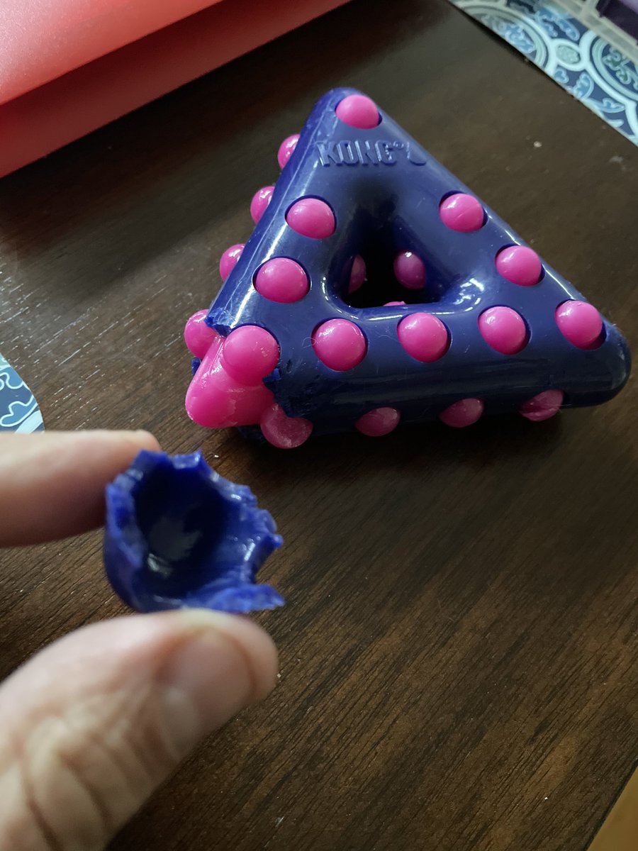 JudyDSim's tweet photo. Very disappointed with @KongToys.  This toy was destroyed by our 16 week old puppy within hours of purchasing.  Thank goodness my husband was beside him to take away the toy. https://t.co/m7eCsS2cWH
