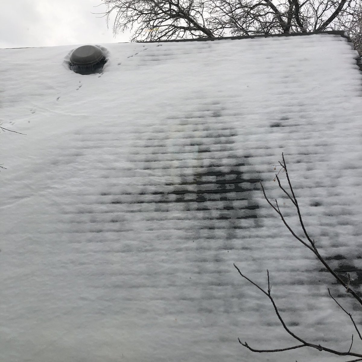 peeyellow's tweet photo. We stayed my friends house for 3nites, because no water at our apt!!! Finally we got water!!!!!! I hope it is end of this cold camp in TX!!! Stay safe everybody!!!!!! #texsa #austin #nopower #nowater #winterstorm2021 #thanksmyfriend https://t.co/4IcRGhyU4R