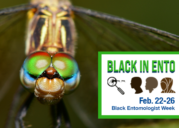 All of us at BASF are proud to celebrate #BlackInEntomology next week alongside @BlackinEnto. Help us spread awareness, increase inclusivity, and inspire the next generation of Entomologists. blackinento.com