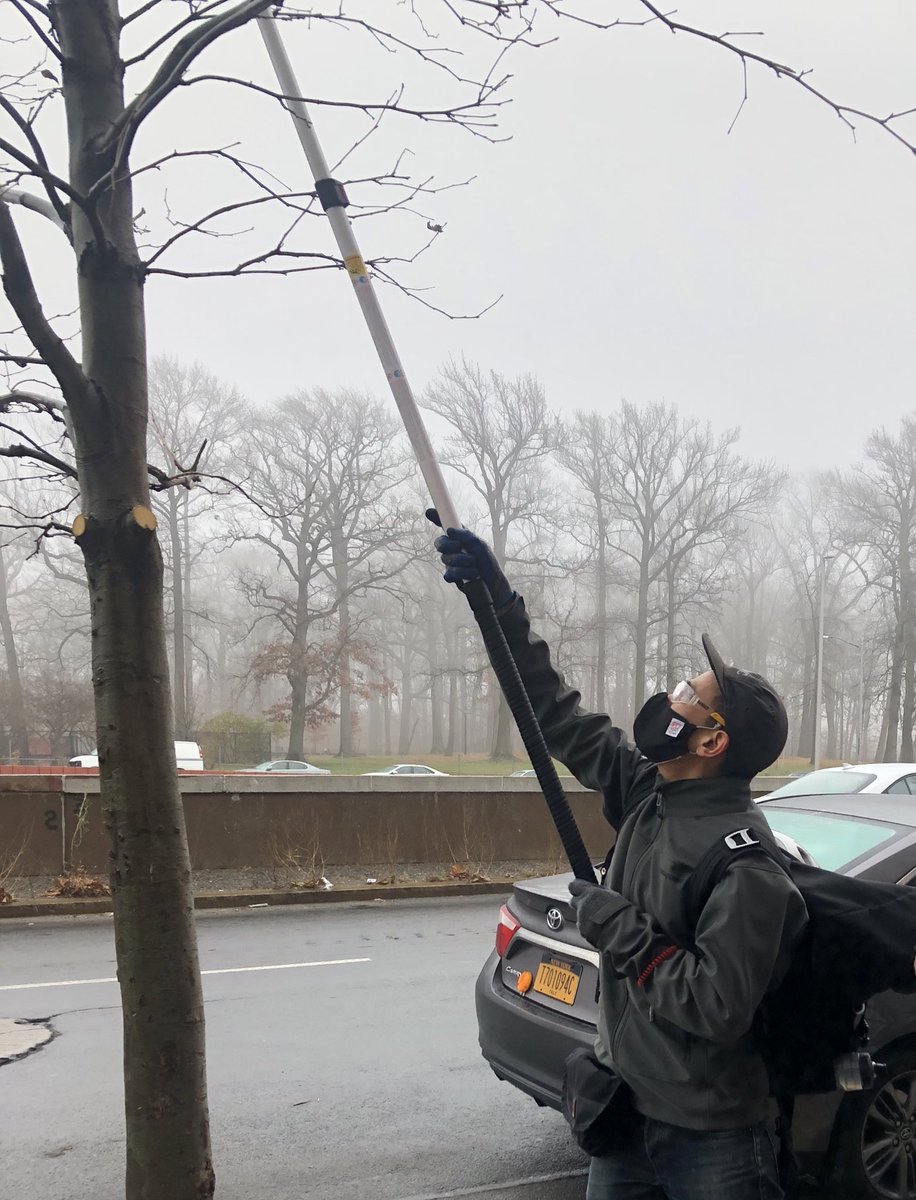 TreesNewYork's tweet photo. Do you want to receive the spring Citizen Pruner Course Schedule?  
Yes! Click the link! https://t.co/w5VjlBbNjb. https://t.co/p0jdB09Vp3
