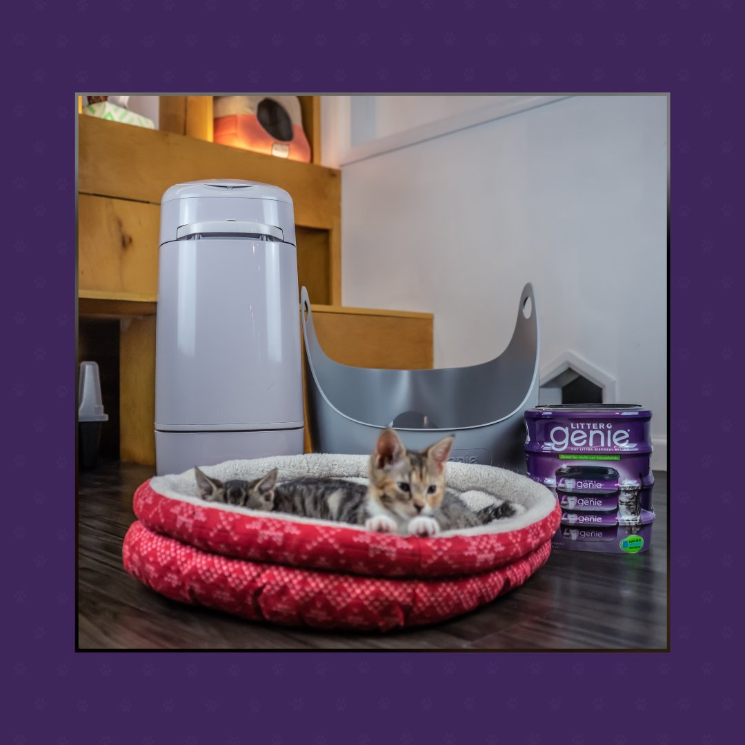 Love your cats but not litter smell? Litter Genie XL Pail is the nose-friendly answer that locks in smell and holds up to 21 days of cat litter (for one cat). Pair it with the Litter Genie Litter box for ultimate cat comfort and easy scooping for you! 😽