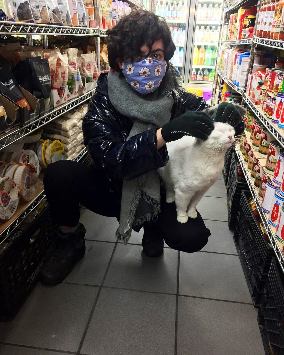 Bodegacats_'s tweet photo. https://t.co/jHpOLcmg57