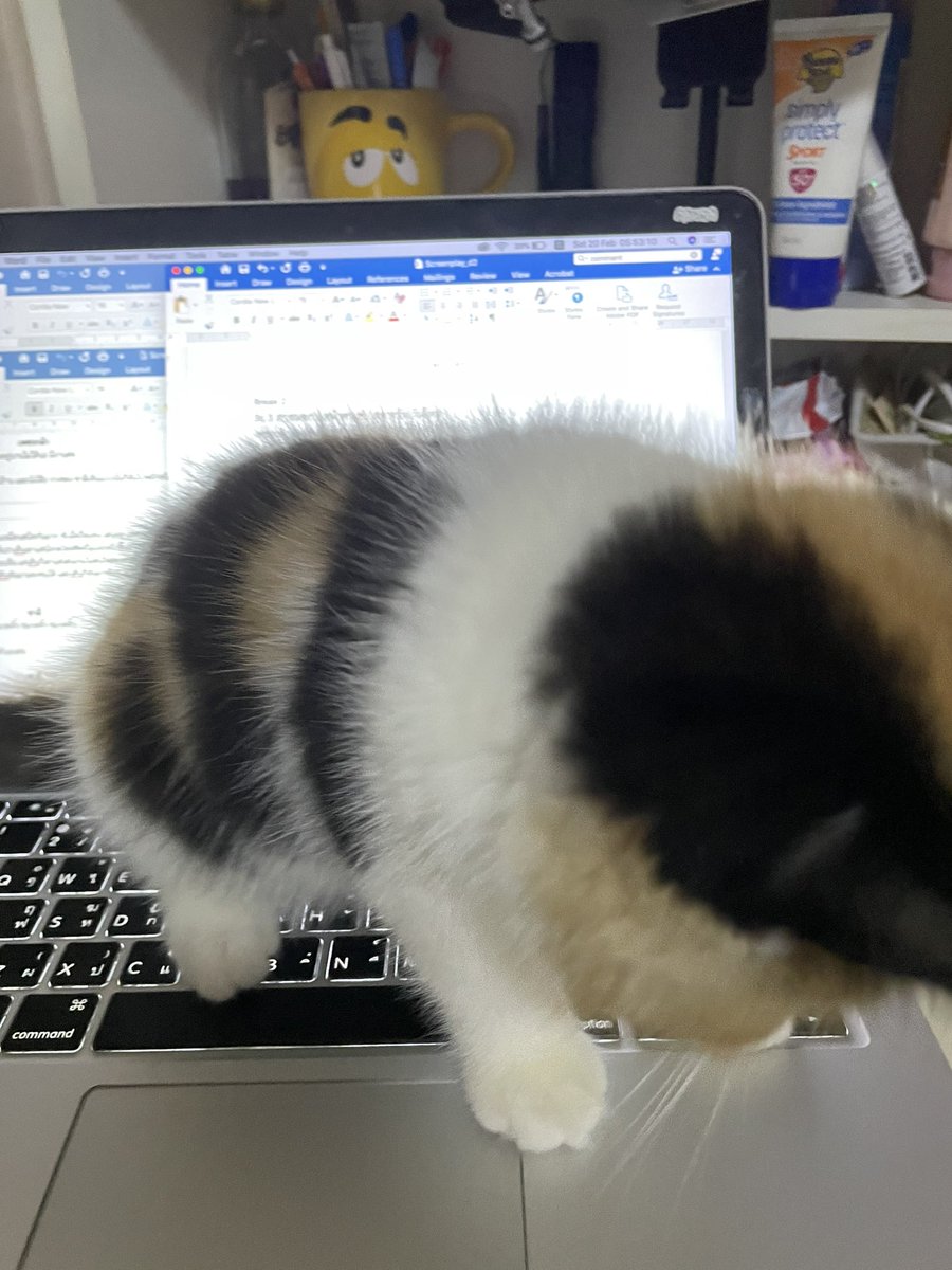 บีมกับน้องๆ tweet media
